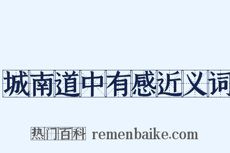 城南道中有感近义词是什么意思的图片
